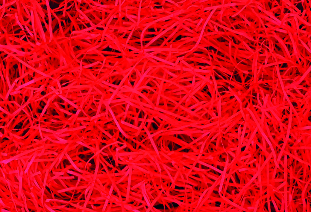 Farripas Vermelhas Ref. 06